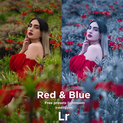 Lr Copy Paste Photo, Lightroom Copy Paste Photo, Lightroom Moody Presets, Lr Editing, Free Lightroom Presets Wedding, Lightroom Free Presets, Jay Bhim, Lightroom Edit, Presets Lightroom Free