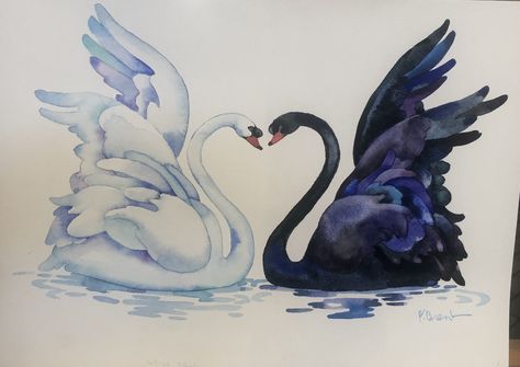 Black and white swans Black And White Swan Painting, Swan Heart Drawing, 2 Swans Drawing, Black And White Swan Aesthetic, Black And White Swan Tattoo, Black Swan Drawing, Black Swan And White Swan, White And Black Swan, Black Swan Art