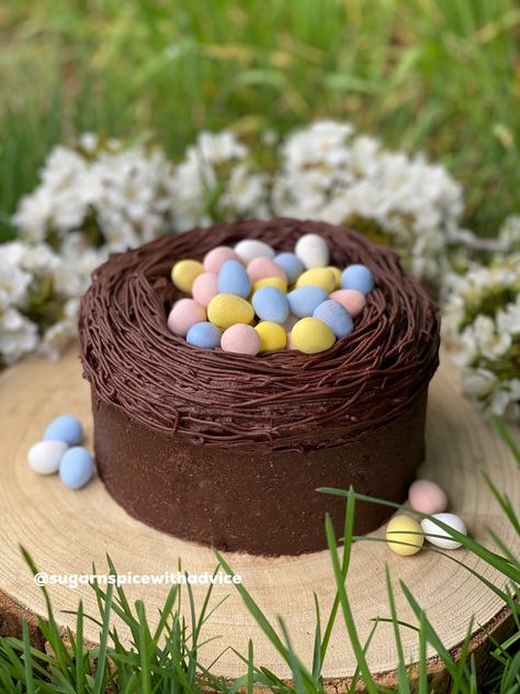 Bird's Nest Spring Cake! For custom cakes, click the link below! Easter Confections, Nest Cake, Robin Nest, Food Factory, Easter Desserts, Easter Decorating, Shake N Bake, Spring Cake, Cookie Kit