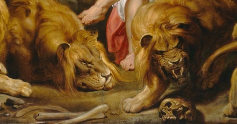 Scary Lion, Daniel In The Lions Den, Rubens Paintings, Lion Roaring, Daniel In The Lion's Den, Daniel And The Lions, Lions Den, Christian History, Paul Rubens