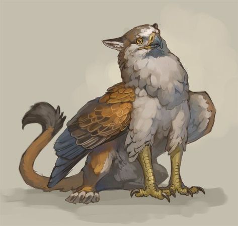 Dnd Hippogriff, Cute Griffin Art, Griffin Concept Art, Dnd Griffon, Griffin Character Design, Hippogriff Drawing, Gryphon Drawing, Griffon Drawing, Hippogriff Art