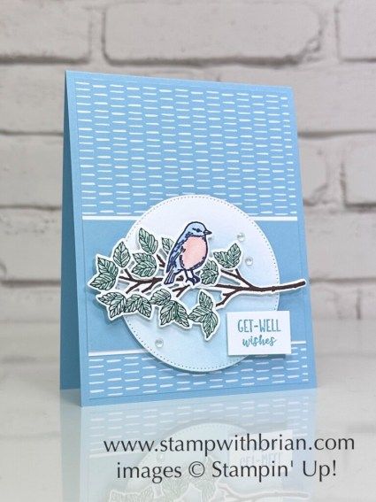 Stampinup Seasonal Branches, Get Well Stampin Up Cards, Seasonal Branches Stampin Up Cards, Stampin Up Get Well Cards, Stampin Up 2023-2024 Annual Catalog, Stampin Up 2024, Nested Friends, Seasonal Branches, Get Well Wishes