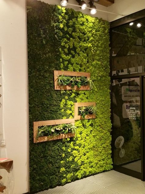 Moss is New Paint: How to Create Art with Moss  Would be interesting to look into - also might take down the load factor Mos Wand, Living Wall Indoor, Garden Wall Designs, Diy Wand, Green Wall Decor, Moss Wall Art, Vertical Gardens, Moss Garden, Walled Garden