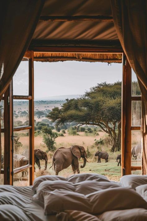 Tanzania Honeymoon, Travel Agency Branding, Travel Kenya, African Lodges, Africa Holiday, Safari Outfits, Maasai Mara, Manifesting Love, Kenya Safari