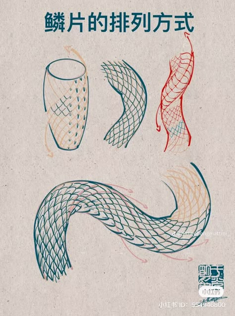 Snake Scales Tattoo, Snake Scales Drawing, Snake Sketch, Snake Scales, Tattoo Japanese Style, Snake Dragon, Snake Illustration, Tattoo Techniques, Snake Drawing