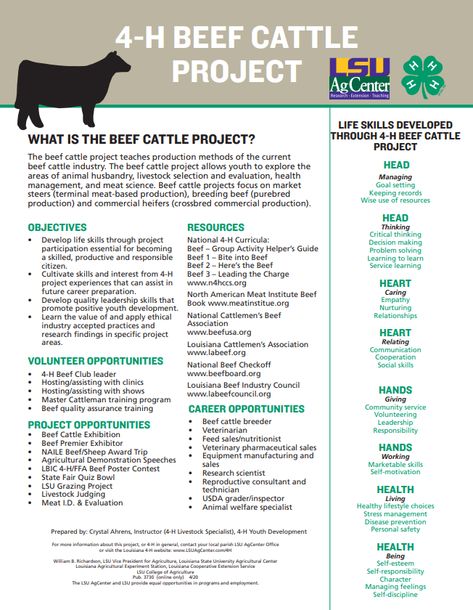 Boer Goats Raising, Goat 4h Projects, Showing Dairy Goats, Meat Goats Breeds, 4h Goat Project Ideas, 4-h Goat Project, Goat Showing Tips, 4 H Fair Projects, Showing Goats In 4h