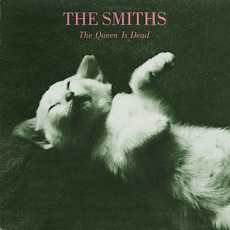 Poster Grafico, The Queen Is Dead, Music Poster Design, Silly Cats Pictures, The Smiths, Poster Retro, Band Posters, Silly Cats, Room Posters