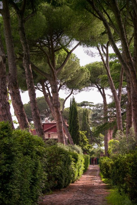 Rome Tips, River Bath, Italy Countryside, Appian Way, Via Appia, Street Beat, Roma Italy, Giant Tree, Old Farm Houses