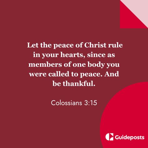 Day 15: Bible Quotes for Christmas⁠ ⁠ #Prayer #Christmas #Pray #Scripture #Bible #Jesus #Faith #ChristmasSeason #BibleVerse #JesusChrist #JesusBirth #Christian #God #Christ #MerryChristmas #Guideposts #OurPrayer #Quotes #qotd Quotes For Christmas, Pray Scripture, Colossians 3 15, Birth Of Christ, Scripture Bible, Christmas Prayer, Inspirational Quotes Wallpapers, Quotes Wallpapers, Jesus Faith