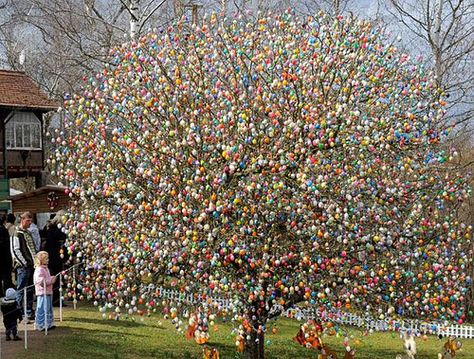 Now that's ONE- Crazy, Huge Easter egg tree!! Easter Egg Tree, Egg Tree, Easter Tree, Easter Time, Hoppy Easter, Photo Tree, Easter Celebration, Egg Decorating, Easter Fun