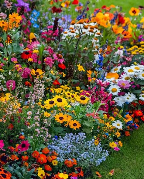 Flowerbed Aesthetic, Wild Flower Garden Ideas, Rainbow Flower Garden, Flower Landscaping, Flower Garden Plans, Flower Therapy, Beautiful Bouquet Of Flowers, Beautiful Flowers Pictures, Flower Field