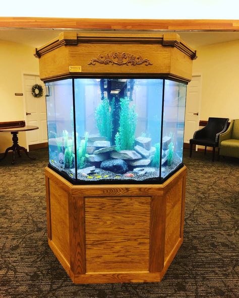 Hexagon Aquariums, Island Aquariums, Hexagon Fish Tanks Hexagon Fish Tank, 40 Gallon Aquarium Stand, Hexagon Aquarium, Big Fish Tank, Big Fish Tanks, 40 Gallon Aquarium, Custom Aquarium, Aquarium Stands, Aquarium Set