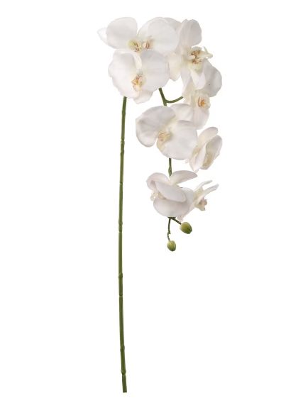 White Phalaenopsis Orchid, Special Events Decor, Bridal Shower Centerpieces, Faux Floral Arrangement, Artificial Orchids, Flower Guide, Event Decorations, Phalaenopsis Orchid, White Orchids