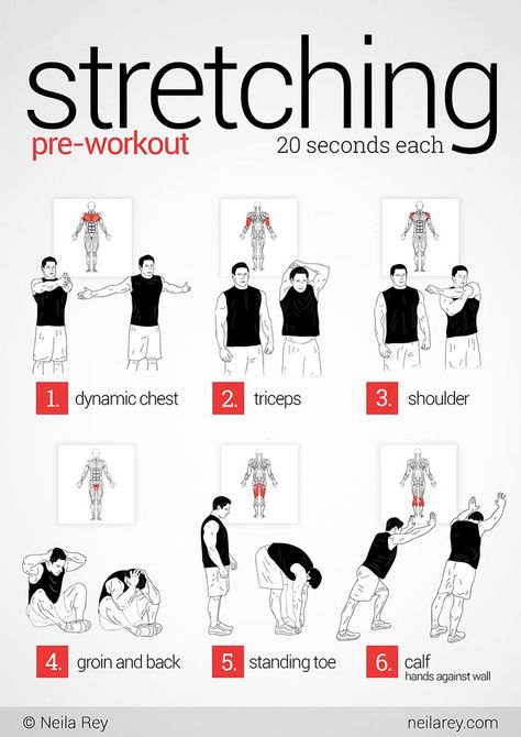 pre-workout stretching. arm stretches Stretches Before Running, Pre Workout Stretches, Neila Rey, Resep Diet, Workout Chart, Stretching Exercises, Pre Workout, Yoga Stretches, Yoga Sequences