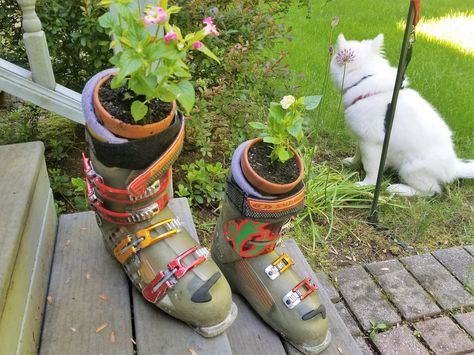 Upcycled ski boots to flower pot holders! Flower Pot Holder, Upcycle Recycle, Ski Boots, All About Plants, Plant Holders, Flower Pot, Tree House, Pot Holders, Flower Pots