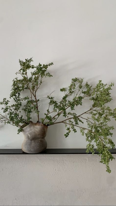 Plant Outdoor, Wabi Sabi Olive Tree, Wabi Sabi Indoor Plants, Wabi Sabi Plants, Minimal Living Room Design, Indoor Plants Aesthetic Minimal, Greenery Floral Arrangement, Wabi Sabi Plant Pots, Wabi Sabi Inspiration