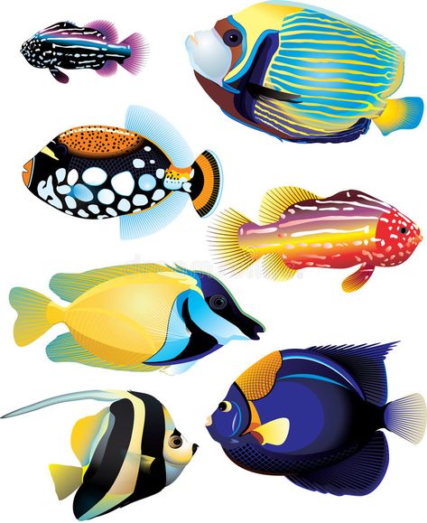 Fish Paper Craft, Beautiful Tropical Fish, Bawah Air, Fish Breeding, Sea Life Art, Jellyfish Art, Fish Vector, Fish Stock, Watercolor Fish