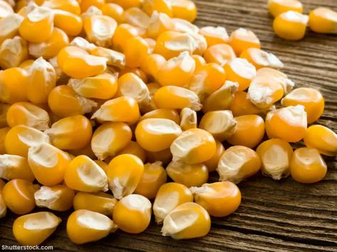 Southern Creamed Corn - Beliefnet Field Corn, Moringa Seeds, Fresh Eats, Corn Seed, Yellow Corn, Creamed Corn, Corn Kernel, How To Grow Taller, Sweet Corn