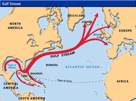 Map of the Gulf Steram. The Gulf Stream is a powerful warm, swift Atlantic ocean current that flows along the coast of the Eastern United St... World History Map, Brain Growth, Sailing Lessons, Weather Science, Planetary System, Airplane Car, Ocean Current, Gulf Stream, 6th Grade Science