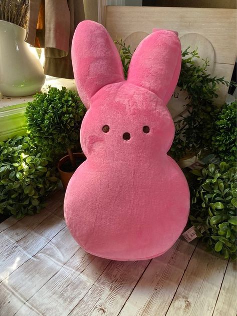 Kawaii Stuffies, Pink Plushie, Peeps Plush, Gang Life, Plush Diy, 17th Birthday Ideas, Peeps Easter, Bunny Cages, Cute Squishies