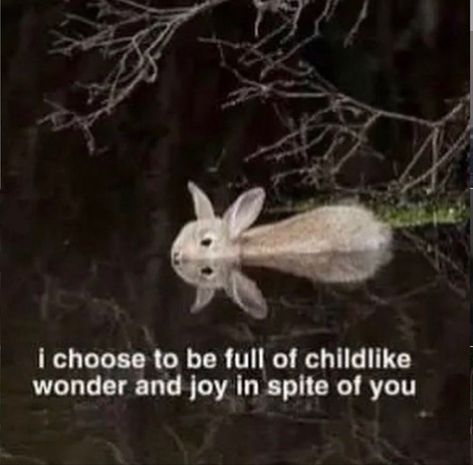 Childlike Aesthetic, Aesthetic Bunny, Good Aesthetic, Childlike Wonder, Bunny White, God Goddess, We Are The World, Silly Me, Inner Child