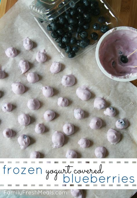 Blueberry Greek Frozen Yogurt Covered Blueberries Yogurt Covered Fruit, Diy Frozen Yogurt, Yogurt Covered Blueberries, Blueberry Bites, Frozen Yogurt Blueberries, Freeze Dried Food Storage, Frozen Yogurt Bites, Harvest Right Freeze Dryer, Best Freeze Dried Food