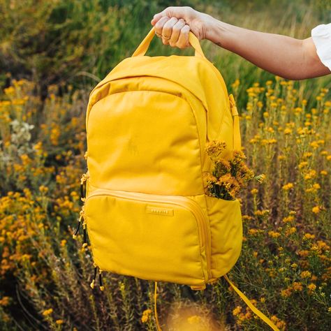 Yellow is the new black. My Brevite backpack is proof. 🍋 #Brevite #GoodVibesOnly #camerabag #gear Brevite Backpack, August 12, Good Vibes Only, New Black, Camera Bag, Backpacks, Yellow, On Instagram, Quick Saves