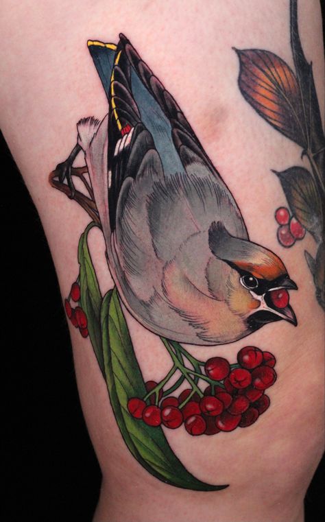 Bird tattoo #birds #cedarwaxwing #tattoo #tattooideas #illustration #neotraditional #aesthetic #ameliefleury Amelie Fleury tattoos @ameliefleury instagram Bird And Berries Tattoo, Male Bird Tattoo, Neo Traditional Tattoos Bird, Cedar Waxwing Tattoo, Waxwing Tattoo, Neotraditional Bird Tattoo, Neo Traditional Bird Tattoo, Neo Traditional Bird, Bird Tattoo Color