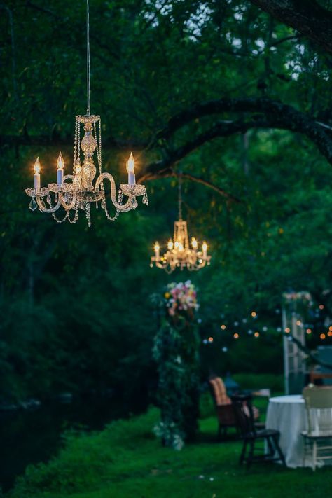 Chandelier From Tree, Vintage Chandelier Wedding, Hanging Tree Decorations, Chandelier Tree, Old Chandelier, Wedding Chandelier, Outdoor Chandelier, Outdoor Chandeliers, Outdoor Wedding Reception