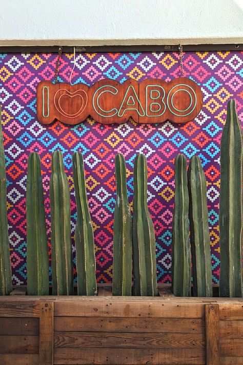 We Went to Cabo San Lucas in August: Here’s What to Expect Cabo San Lucas Aesthetic, Cabo Aesthetic, Cabo San Lucas Restaurants, Cabo San Lucas Beach, Cabo Trip, Cabo Beach, Cabo Resorts, Hotel Card, Cabo Mexico