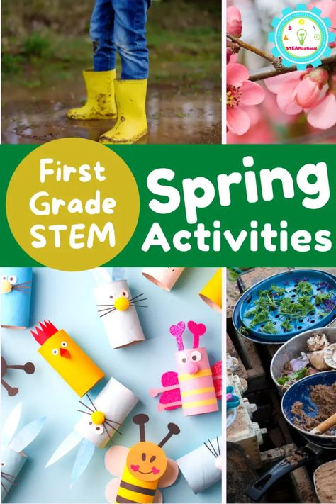 Exciting Hands-On Spring STEM Activities for First Grade Stem For 2nd Grade, Spring Themed Stem Activities, Spring Stem Challenge, 1st Grade Stem Challenge, Spring Math Activities Kindergarten, Pollinator Stem Activity, Plant Experiments First Grade, Elementary Science Projects, Spring Science Experiments