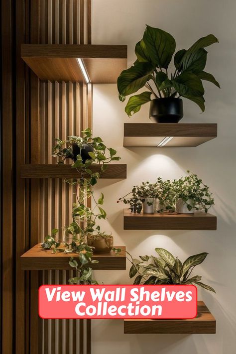 Floating shelves mounted on the wall can hold a variety of plants. They allow for easy arrangement and re-arrangement. Wall Shelf Plants Floating Shelves, Plants On Wall Shelves, Wall Shelf Arrangement, Plant Wall Indoor, Herb Garden Wall, Shelf Arrangement, Plant Corner, Floating Garden, Plant Room