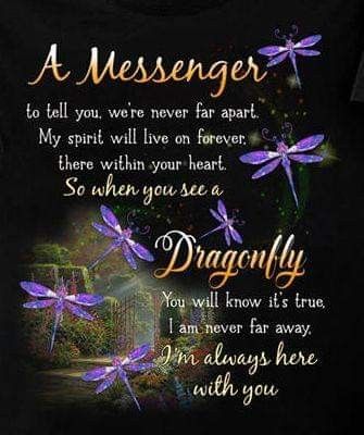 Dragonfly Quotes Inspiration, Dragonfly Facts, Dragonfly Symbolism, Dragonfly Quotes, Dragonfly Artwork, In Loving Memory Quotes, I Love Her Quotes, Mom Life Quotes, Awakening Quotes