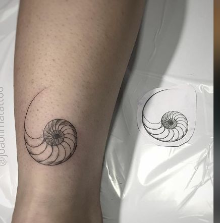 Minimalistic Tattoo Ideas For Men, Fibonacci Shell Tattoo, Spiral Shell Tattoo, Nautilus Shell Tattoo, Fibonacci Spiral Tattoo, Nautilus Tattoo, Small Fish Tattoos, Hannah Tattoo, Fibonacci Tattoo