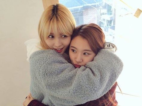 Momo and Chaeyoung Sana Momo, Got7 Jackson, Chaeyoung Twice, Twice Kpop, Hirai Momo, Vixx, Extended Play, Kpop Aesthetic, Kpop Girl Groups