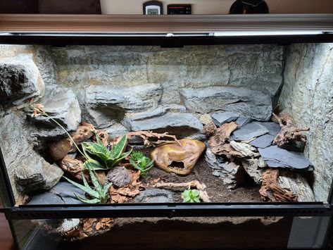 Leopard Gecko Setup, Leopard Gecko Cage, Leopard Gecko Diy, Gecko Cage, Gecko Vivarium, Leopard Gecko Habitat, Vivarium Ideas, Leopard Gecko Tank, Bioactive Vivarium