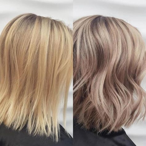 How to Tone Yellow Hair to Perfection | Wella Professionals Wella Professional Color, Hair Before And After Toner, Toner For Yellow Hair, Before And After Toner, Tone Yellow Hair, Tone Orange Hair, Wella Colour Touch, Toning Blonde Hair, Wella Color Charm Toner