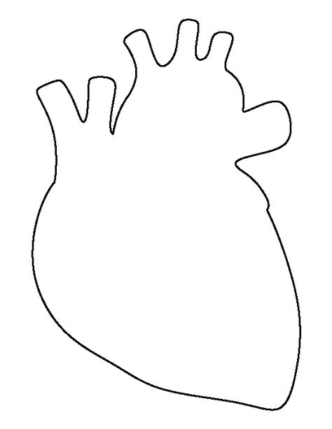 Human heart pattern. Use the printable outline for crafts, creating stencils, scrapbooking, and more. Free PDF template to download and print at http://patternuniverse.com/download/human-heart-pattern/ Human Heart Template Printable Free, How To Draw A Real Heart, Heart Outline Drawing, Anatomical Heart Outline, Human Heart Outline, Human Heart Art, Anatomical Heart Drawing, Human Heart Drawing, Printable Outline