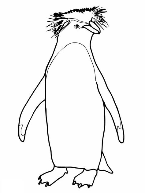 Penguins, : A Drawing of Rockhopper Penguin Coloring Page Penguin Awareness Day, Bear Template, Rockhopper Penguin, Penguin Coloring Pages, Penguin Coloring, Emotion Chart, Baby Penguins, Mermaid Art