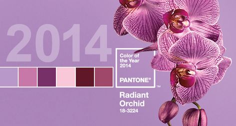 Pantone Color of The Year: “Radiant Orchid” | the Beauty Bridge Connoisseur Color Of The Year 2022, Orchid Color, Pantone Color Of The Year, Beauty Salon Design, Home Decor Hacks, Radiant Orchid, Salon Design, Burgundy Wedding, Wedding Wishes