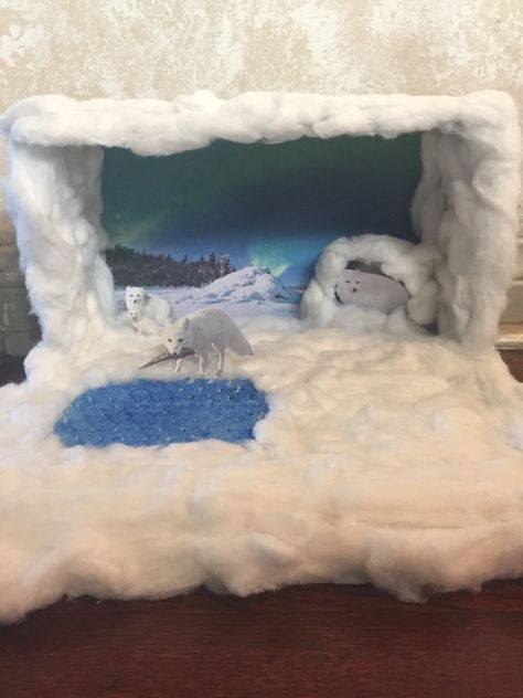 Arctic Fox diorama Arctic Fox Project, Arctic Wolf Diorama, Arctic Fox Diorama, Fox Craft Preschool, Fox Habitat, Arctic Habitat, Earth Science Projects, Biomes Project, Ecosystems Projects