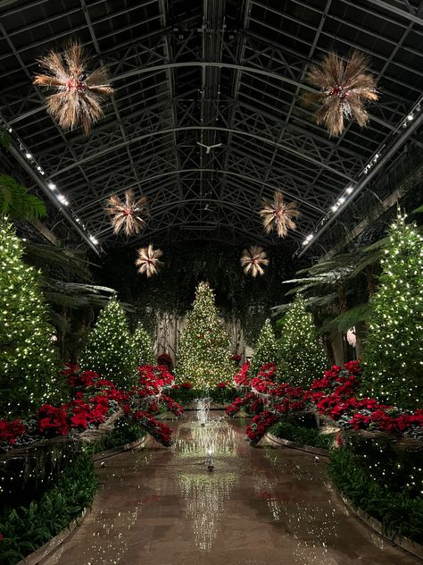 Places To Go For Christmas, Longwood Gardens Christmas, Longwood Garden, Longwood Gardens, Tis The Season To Be Jolly, Christmas Scenes, Christmas 2023, Christmas Mood, Winter Aesthetic