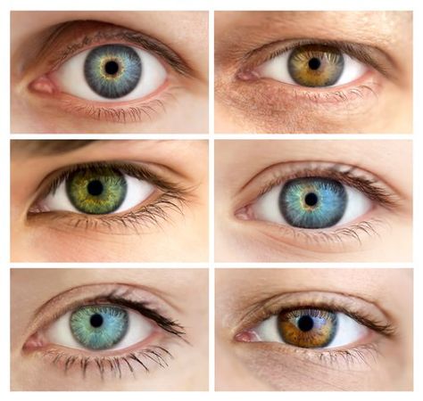 hazel eyes, green eyes, olive eyes, brown blue eyes Saggy Eyelids, Eye Color Chart, Change Your Eye Color, Eye Facts, Different Colored Eyes, Amber Eyes, Gray Eyes, Hazel Eyes, Eye Health