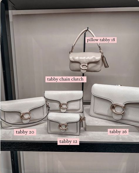 Bag-Review-Coach-Tabby-26-size-comparison-Tabby-12-Tabby-20-Tabby-Chain-Clutch Coach Tabby Bag 26 Outfit, Tabby 20 Coach, Coach Tabby Chain Clutch, Coach Tabby 20 Outfit, Coach Tabby 26 Outfit, Coach Tabby Outfit, Contemporary Bags, Brandname Bag, Coach Bag Outfit