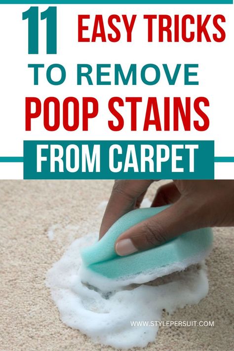 Cleaning Dog Pee, Cleaning Hacks Vinegar, Diy Carpet Cleaning Solution, Diy Stain Remover, Smell Remover, Stain Removal Guide, Homemade Rugs, How To Wash Shoes, Carpet Cleaning Solution