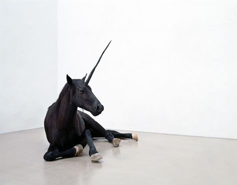 La Lotta | Olaf Nicolai. Mixed Media, 2006. Black Unicorn, Lost Art, Painted Floors, Sculpture Installation, Ancient Wisdom, Dark Horse, Magical Creatures, Olaf, Moose Art