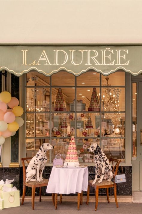 Laduree Interior, Laduree Aesthetic, Paris Laduree, Paris Desserts, Paris Party Decorations, Popular Prints, Pelo Cafe, Paris Interiors, Lilly Prints