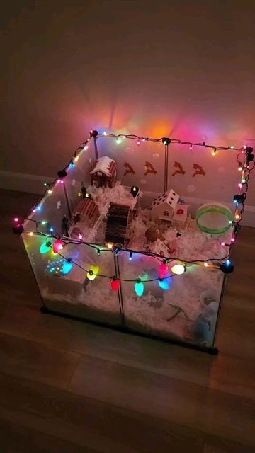 Teddy Bear Hamster Cage Ideas, Hamster Furniture, Hamster Cage Ideas Aesthetic, Diy Hamster House, Hamster Cage Ideas, Hamster Tank, Diy Hamster Toys, Pet Rat Cages, Hamster Diy Cage