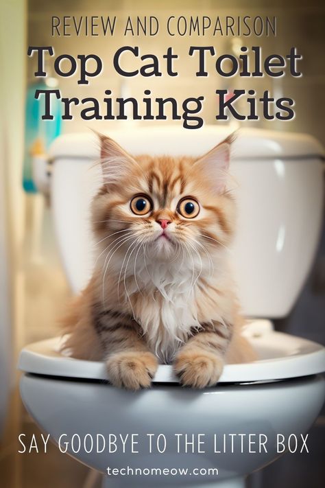 Say goodbye to the litter box forever! 🚽🐾 Explore the top cat toilet training kits and watch your fur-baby transition to a world of pristine potty perfection. No more scooping, no more mess – just a clean, convenient, and eco-friendly solution for your kitty. 🌟 #CatToiletTraining #PawsitivelyPurrfect #NoMoreLitterBox Cat Litter Box Ideas, Litter Box Ideas, Training A Kitten, Dog Enclosure, Cat Toilet Training, Cat Litter Box Enclosure, Cats Outside, Train Kit, Smelly Cat