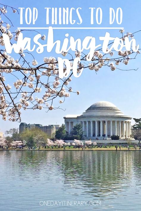 Washington D.C. - Top things to do and Best Sight to Visit on a Short Stay Washington Dc Itinerary, Washington Dc Travel Guide, Sight Seeing, Washington Dc Travel, Vacation Locations, Dc Travel, Travel Recommendations, Travel Blogging, American Travel